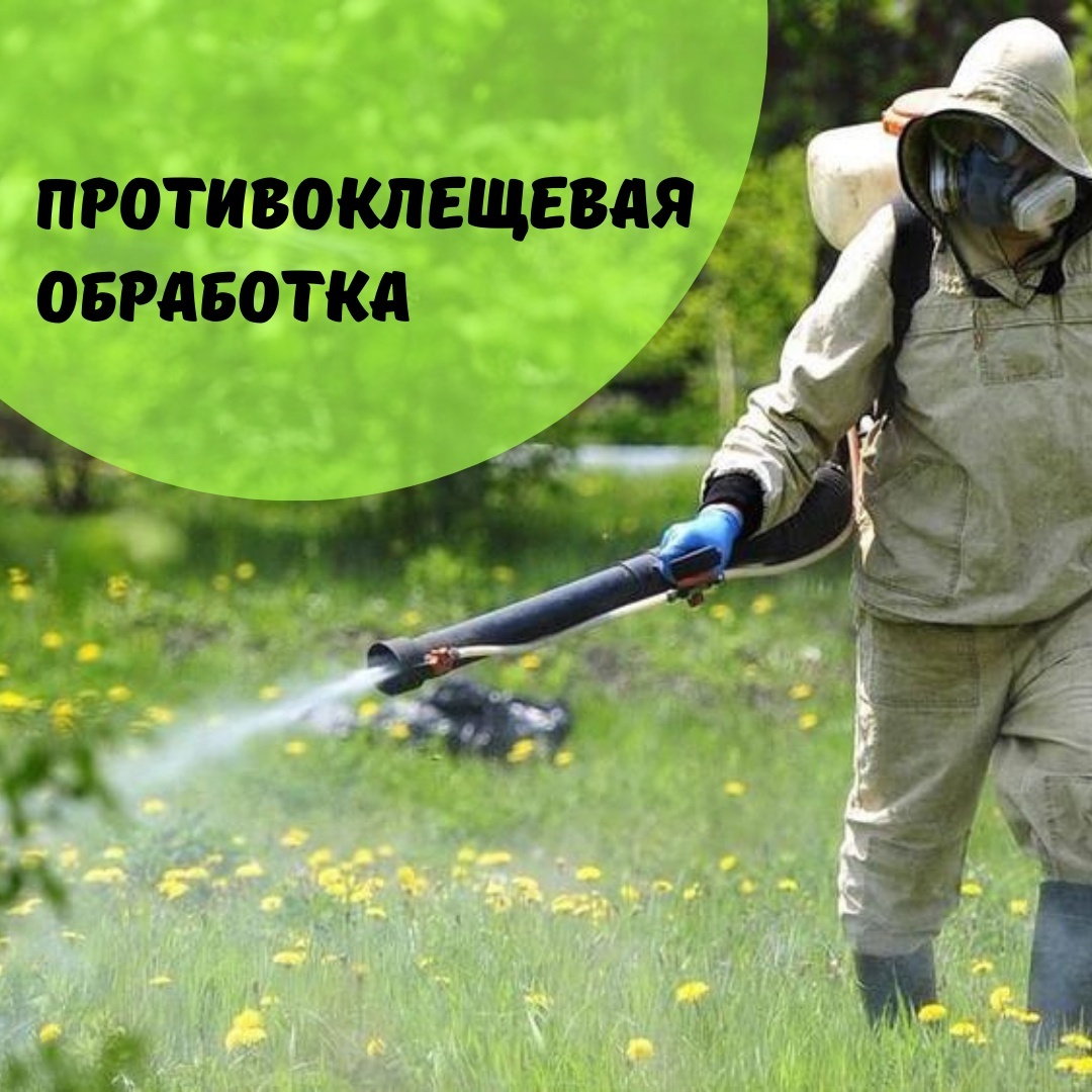 Проведена противоклещевая обработка!.